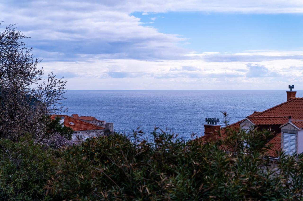 Apartment Aurelya Dubrovnik Eksteriør bilde